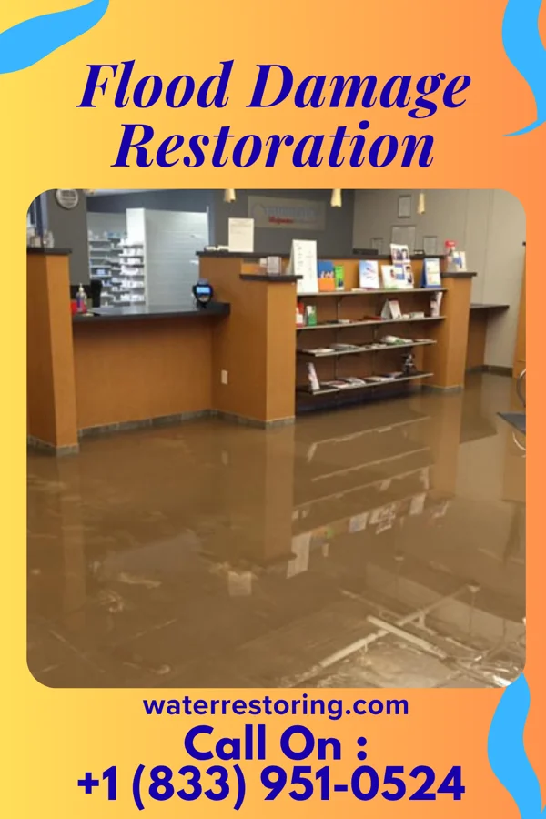 Flood Damage Restoration in Rockledge, FL
