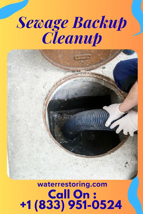 Sewage Backup Cleanup in Rockledge, FL